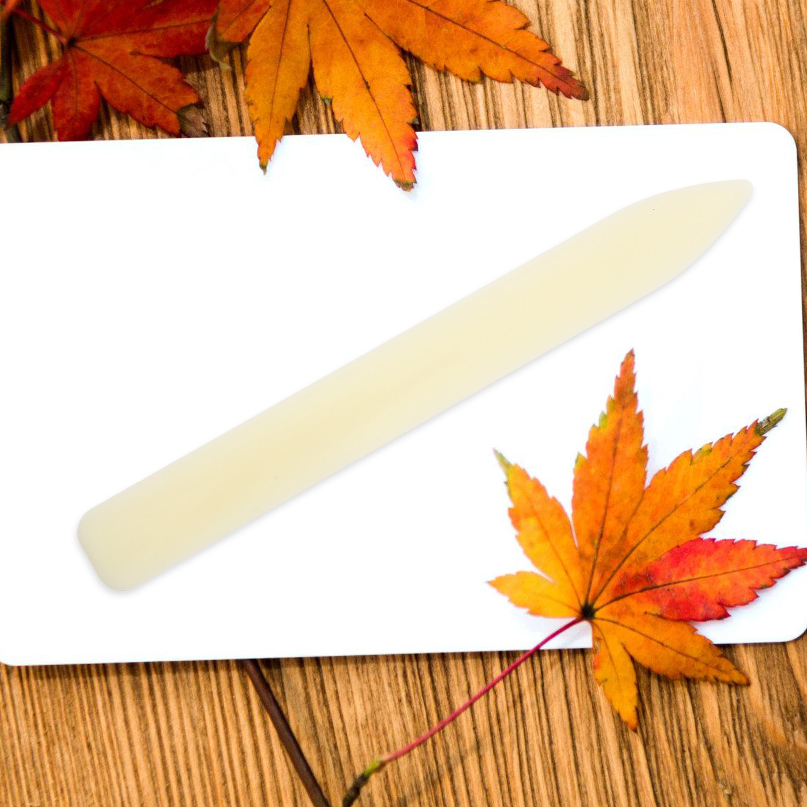 5 Stück Kunststoff-Knochenfalt – Bone Folder Tool Bewertung und Preis